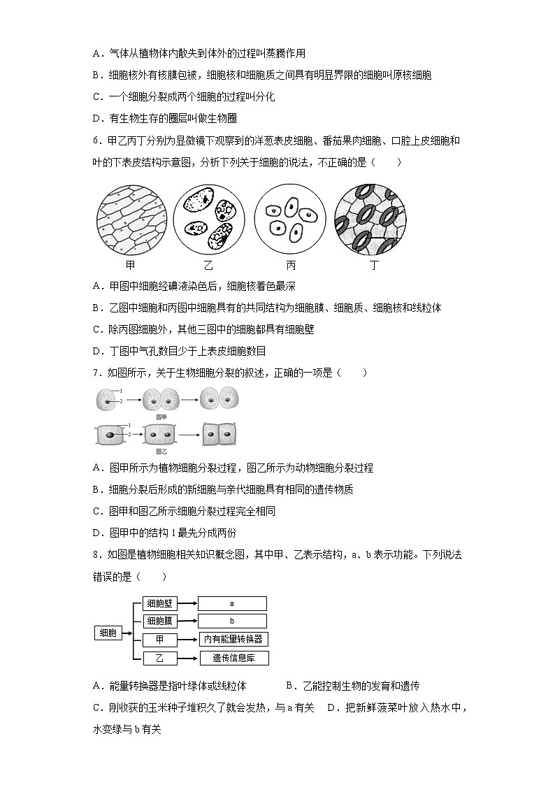 山东省德州市庆云县2021-2022学年七年级上学期期中生物试题（word版 含答案）第2页