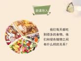 人教版七年级生物上册3.4绿色植物是生物圈中有机物的制造者课件（共22张ppt）