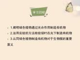 人教版七年级生物上册3.4绿色植物是生物圈中有机物的制造者课件（共22张ppt）