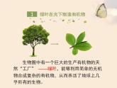 人教版七年级生物上册3.4绿色植物是生物圈中有机物的制造者课件（共22张ppt）