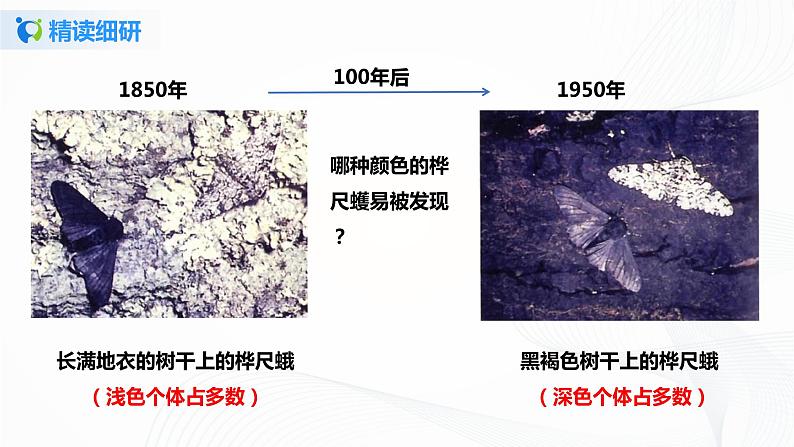 【核心素养目标】人教版初中生物八年级下册7.3.3《生物进化的原因》课件+视频+教学设计+同步分层练习（含答案）07