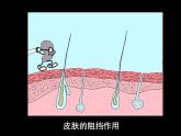 上海版八年级上册生物课件 3.2.2 人体的免疫功能 (共35张PPT)