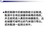 上海版八年级上册生物  3.2.2 人体的免疫功能 课件   (共31张PPT)