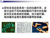 上海版八年级上册生物  3.2.2 人体的免疫功能 课件   (共31张PPT)