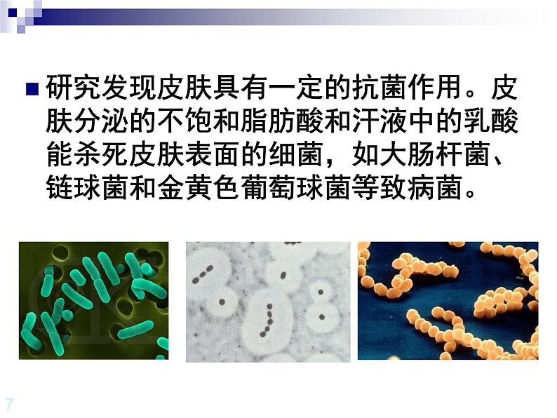 上海版八年级上册生物  3.2.2 人体的免疫功能 课件   (共31张PPT)05