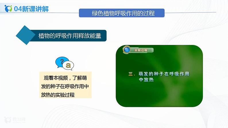 3.5.2 绿色植物的呼吸作用 课件PPT+教案+同步练习课06