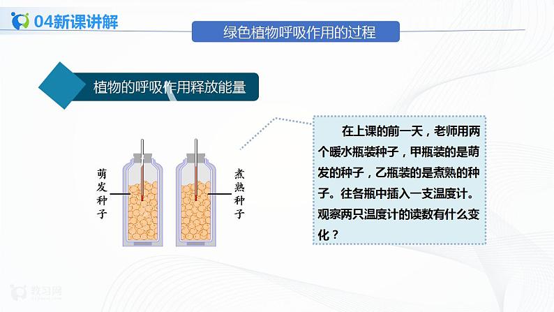 3.5.2 绿色植物的呼吸作用 课件PPT+教案+同步练习课07