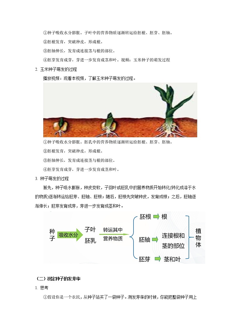 3.2.1《种子的萌发 第2课时》教学设计  教案第2页