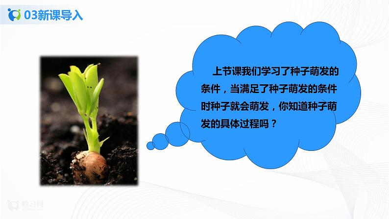 3.2.1《种子的萌发 第2课时》课件第5页