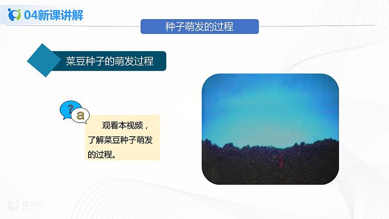 3.2.1《种子的萌发 第2课时》课件第6页