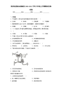 陕西省渭南市蒲城县2020-2021学年八年级上学期期末生物试题（word版 含答案）