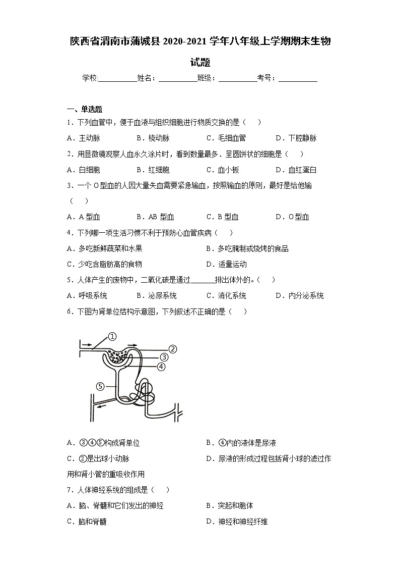 2021年陕西省渭南市蒲城县八年级上学期期末生物试题（word版 含答案）01