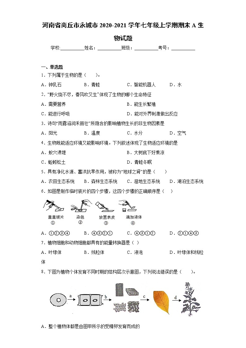 河南省商丘市永城市2020-2021学年七年级上学期期末A生物试题（word版 含答案）01