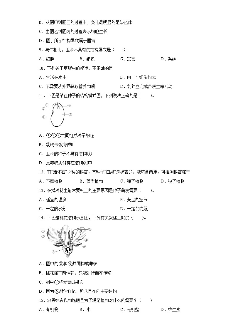 河南省商丘市永城市2020-2021学年七年级上学期期末A生物试题（word版 含答案）02