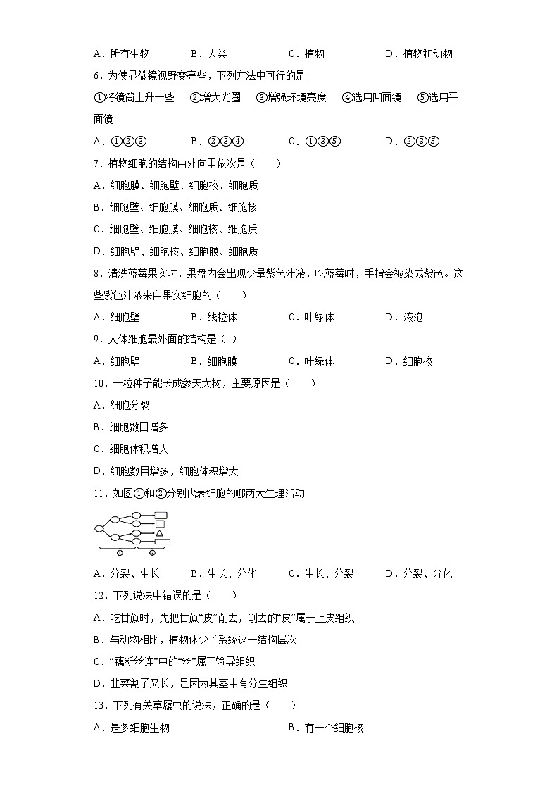 河南省商丘市永城市2020-2021学年七年级上学期期末生物试题B卷（word版 含答案）02