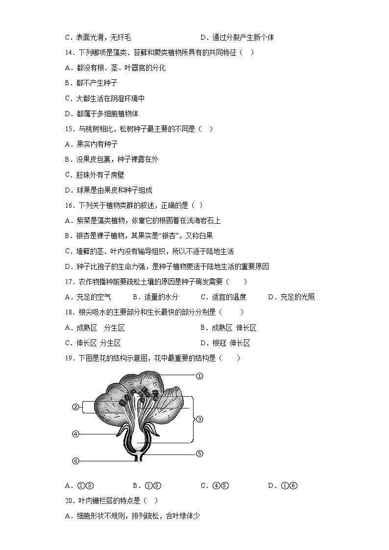 河南省商丘市永城市2020-2021学年七年级上学期期末生物试题B卷（word版 含答案）03
