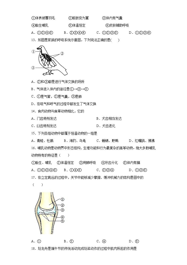 湖南省邵阳市邵阳县2021-2022学年八年级上学期期中生物试题（word版 含答案）02
