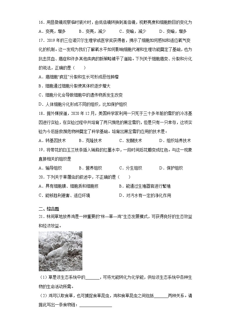 河南省新乡市原阳县2021-2022学年七年级上学期期中生物试题（word版 含答案）03