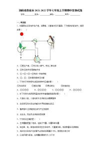 湖南省娄底市2021-2022学年七年级上学期期中生物试题（word版 含答案）