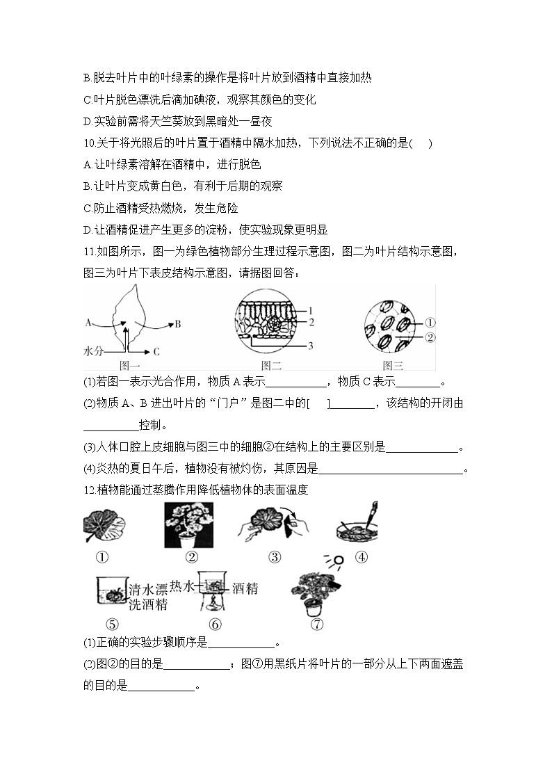 3.4 绿色植物是生物圈中有机物的制造者 课件PPT+教案+练习02