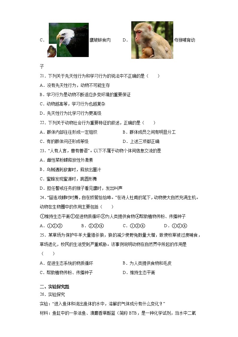 湖北省黄石市2021-2022学年八年级上学期期中生物试题（word版 含答案）第3页