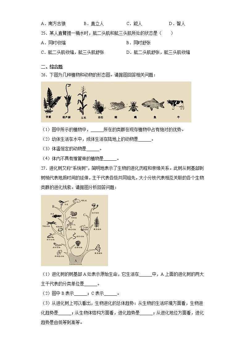 辽宁省鞍山市千山区2021-2022学年八年级上学期期中生物试题（word版 含答案）第3页