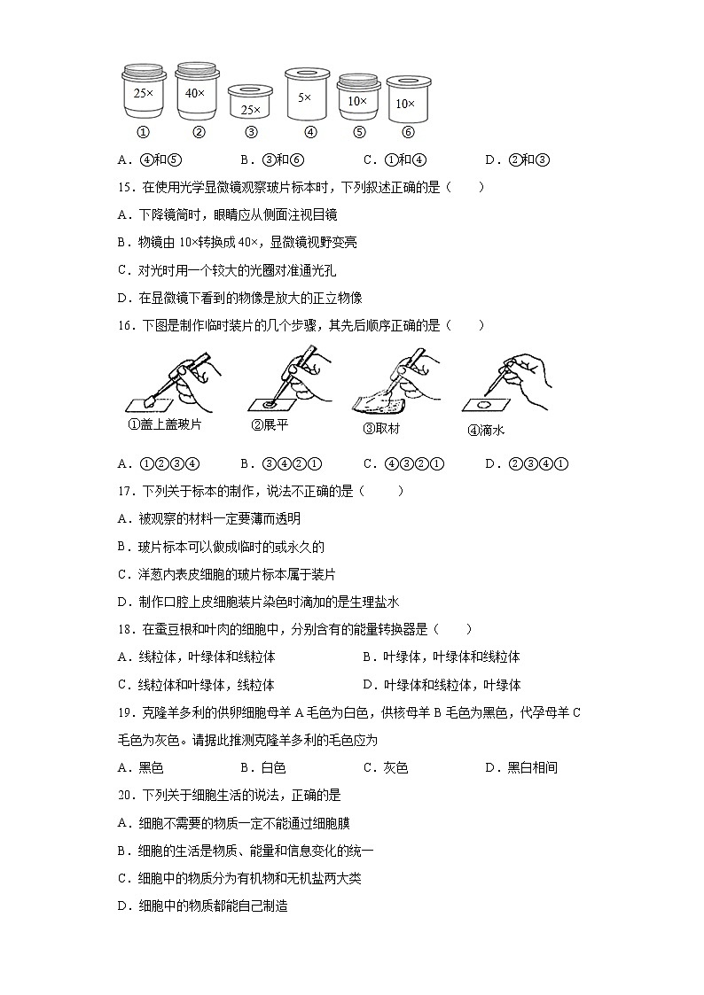 江西省赣州市2021-2022学年上学期五校联合调研七年级生物试题（word版 含答案）03