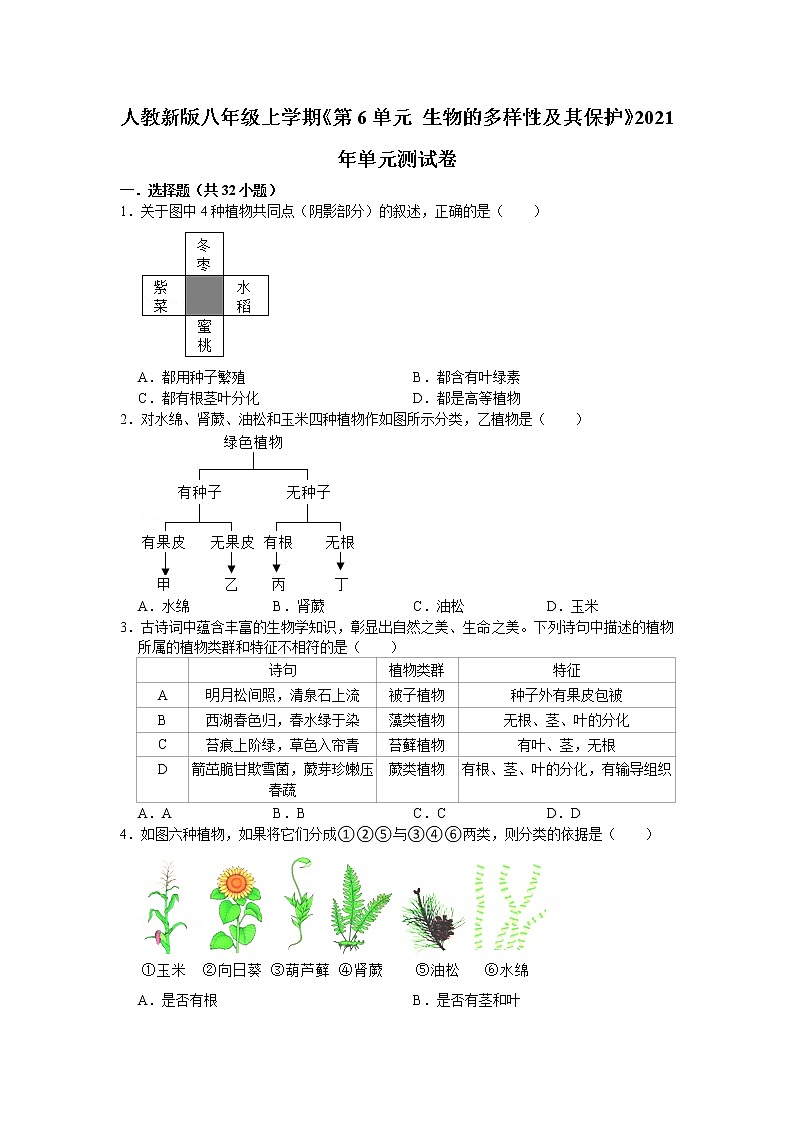 第6单元生物的多样性及其保护单元测试卷 (4) 2021--2022学年人教版生物八年级上册（word版 含答案）第1页