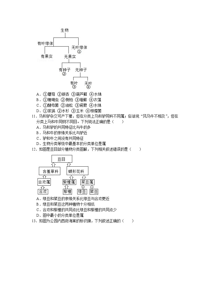 第6单元生物的多样性及其保护单元测试卷 (4) 2021--2022学年人教版生物八年级上册（word版 含答案）第3页