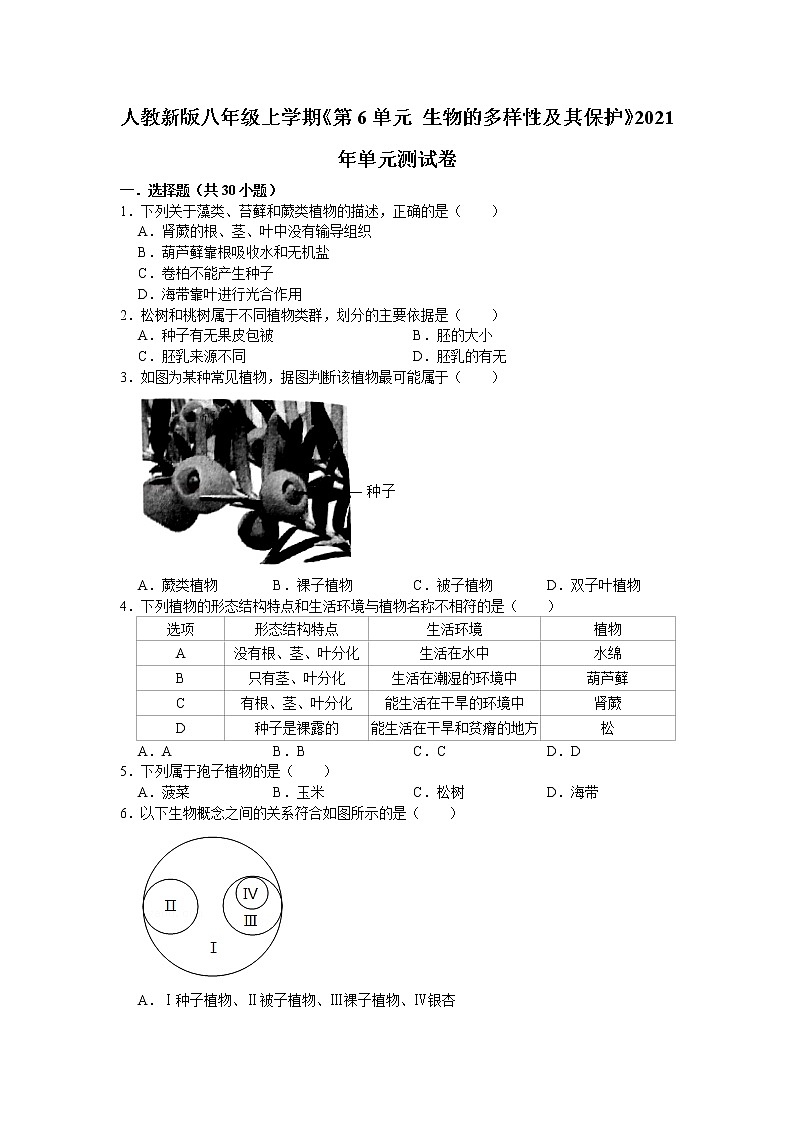 第6单元生物的多样性及其保护单元测试卷 (2) 2021--2022学年人教版生物八年级上册（word版 含答案）01