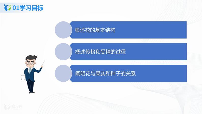 3.2.3 开花和结果 课件PPT+教案+练习03