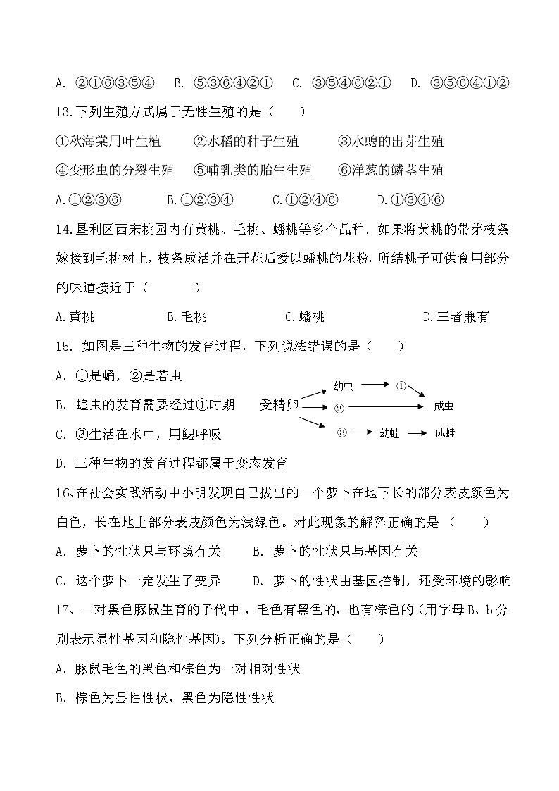 湖北省孝感市云梦县2020-2021学年上学期期末质量检测八年级生物试卷（word版 含答案）03
