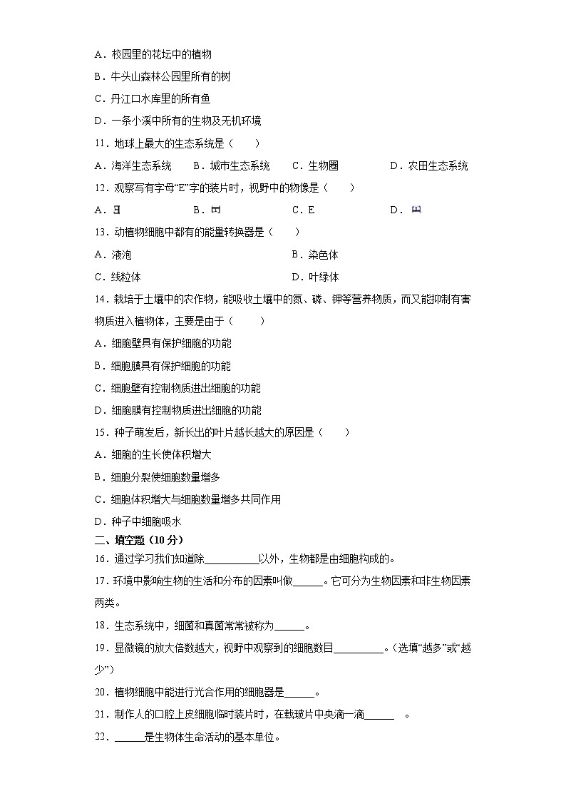 湖北省雨花区2021-2022学年七年级上学期期中考试生物试题（word版 含答案）02