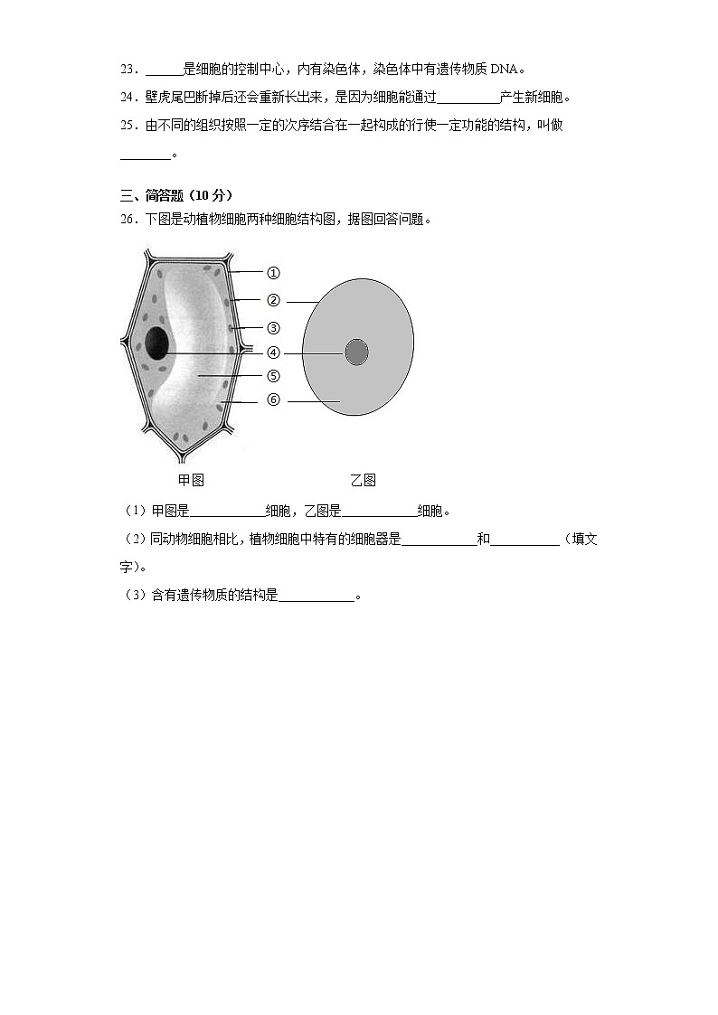 湖北省雨花区2021-2022学年七年级上学期期中考试生物试题（word版 含答案）03