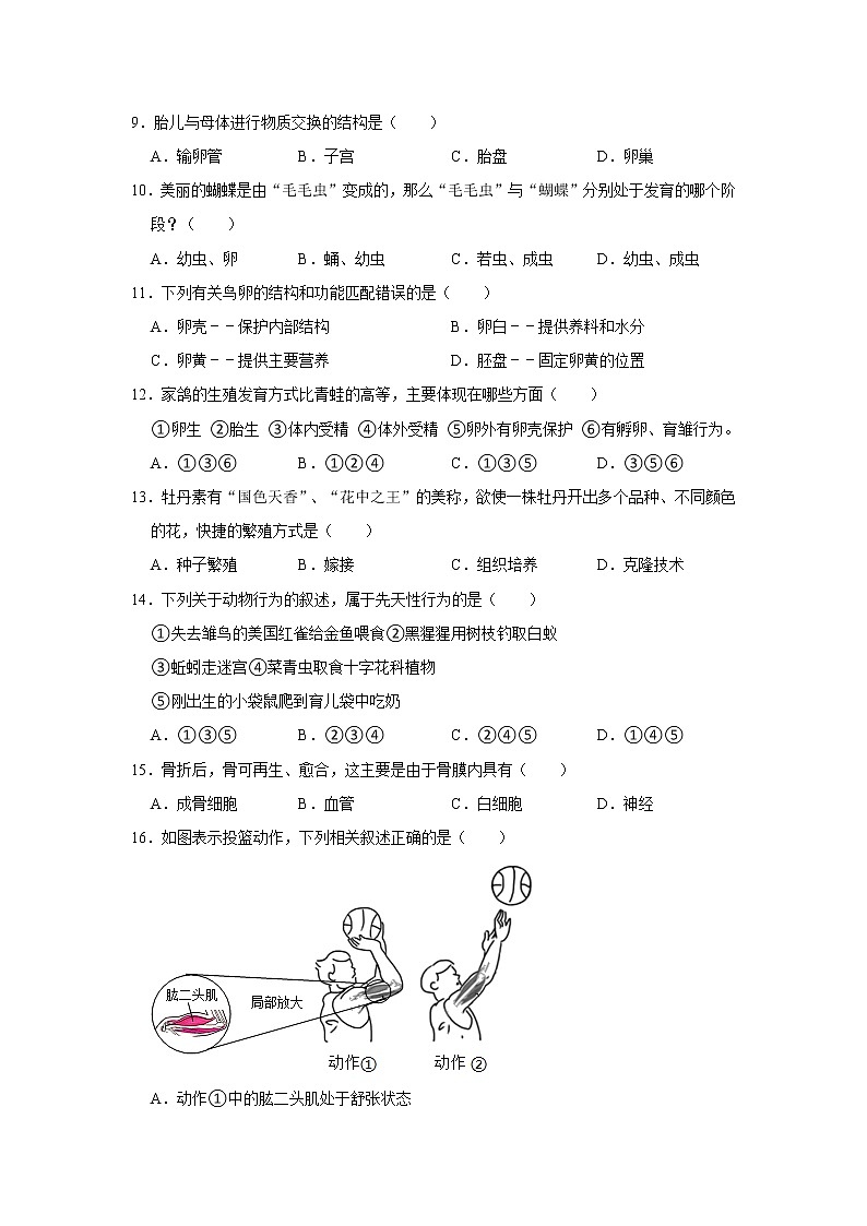 河南省驻马店九中2021-2022学年八年级上学期期中生物试卷（word版 含答案）02