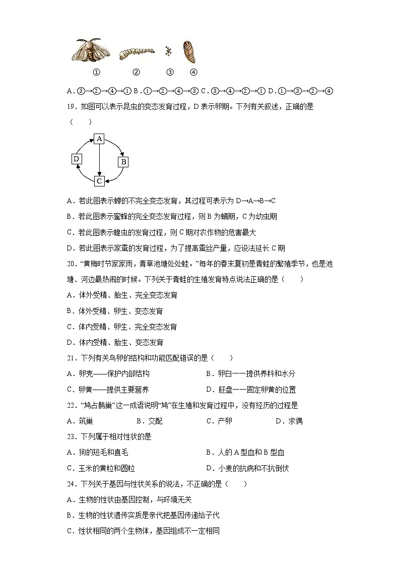 广东省湛江市雷州市2021-2022学年八年级上学期期中生物试题（word版 含答案）03