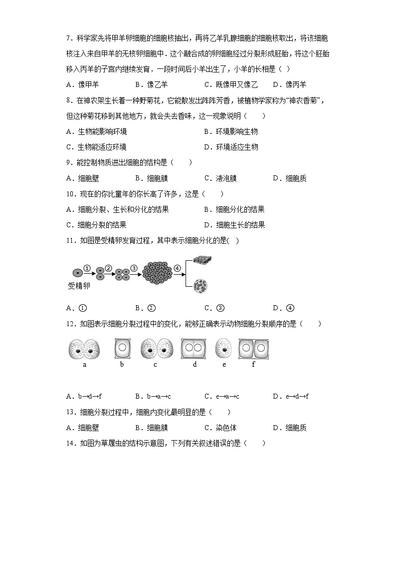湖南省怀化市麻阳苗族自治县2021-2022学年七年级上学期期中生物试题（word版 含答案）02