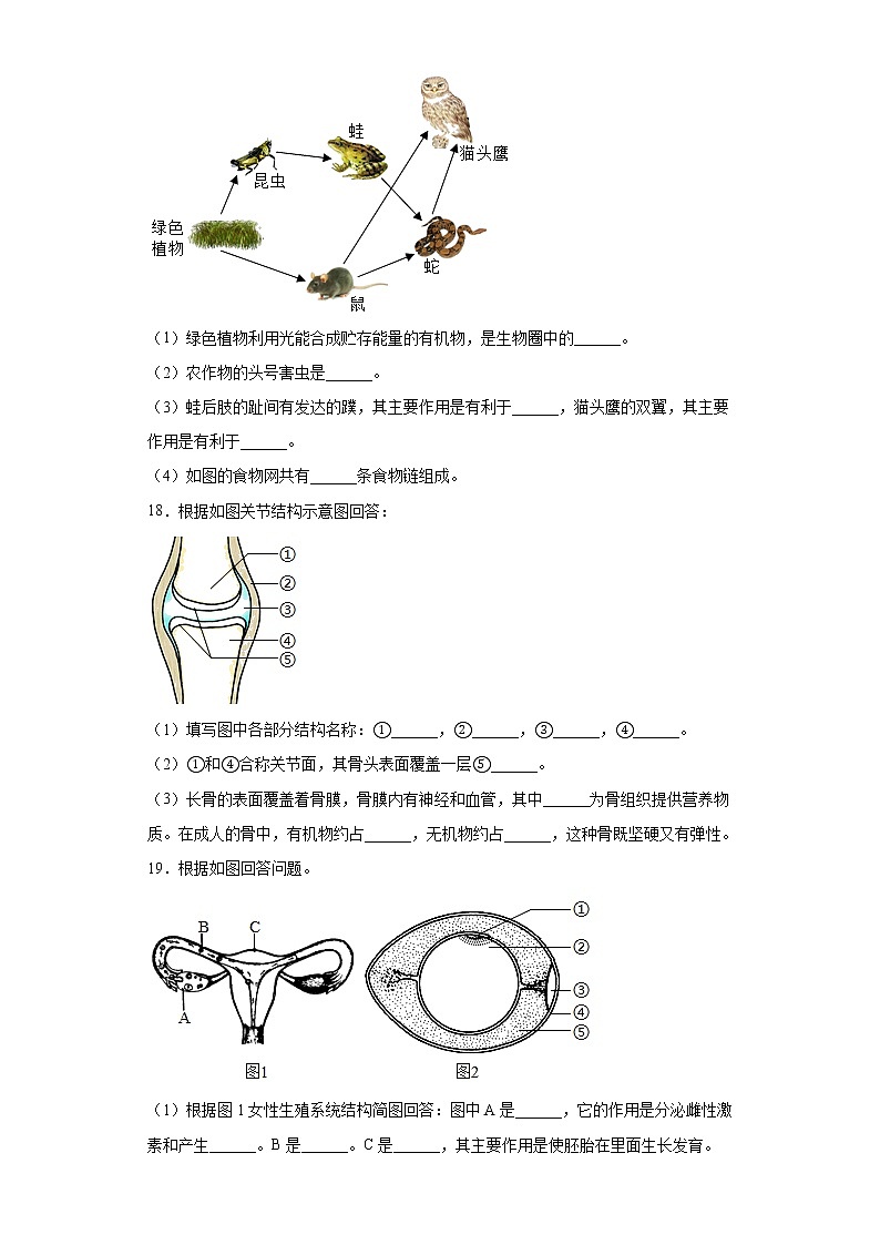 广西河池市凤山县2020-2021学年八年级上学期期末生物试题（word版 含答案）03