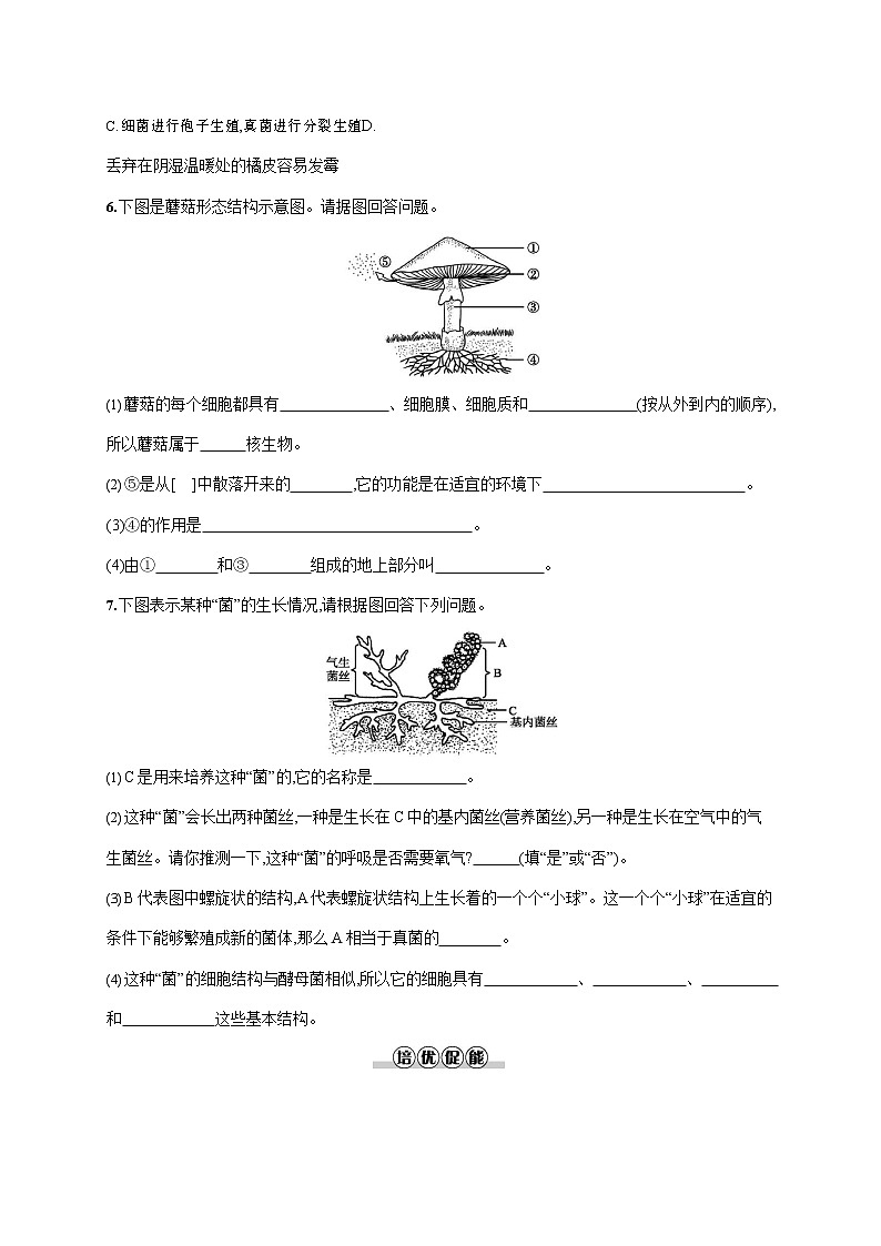 人教版八年级生物上册《5-4-3 真菌》作业同步练习题及参考答案第2页