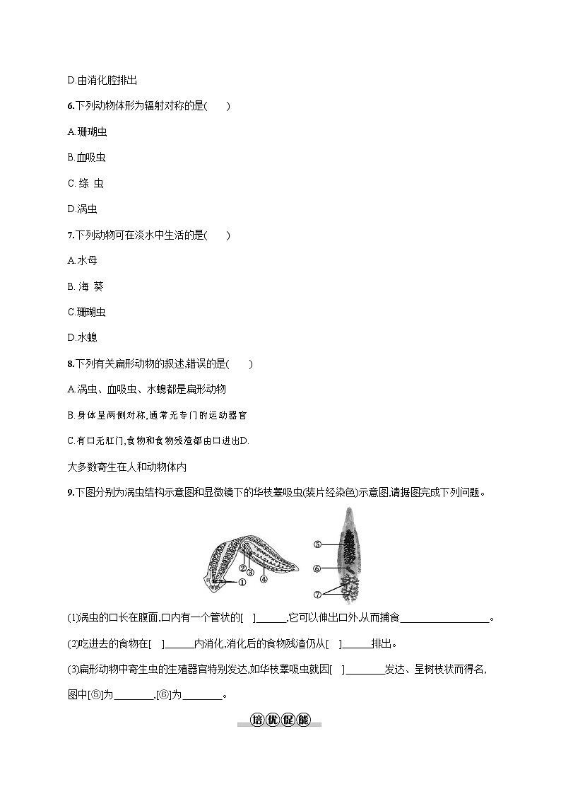 人教版八年级生物上册《5-1-1 腔肠动物和扁形动物》作业同步练习题及参考答案第2页