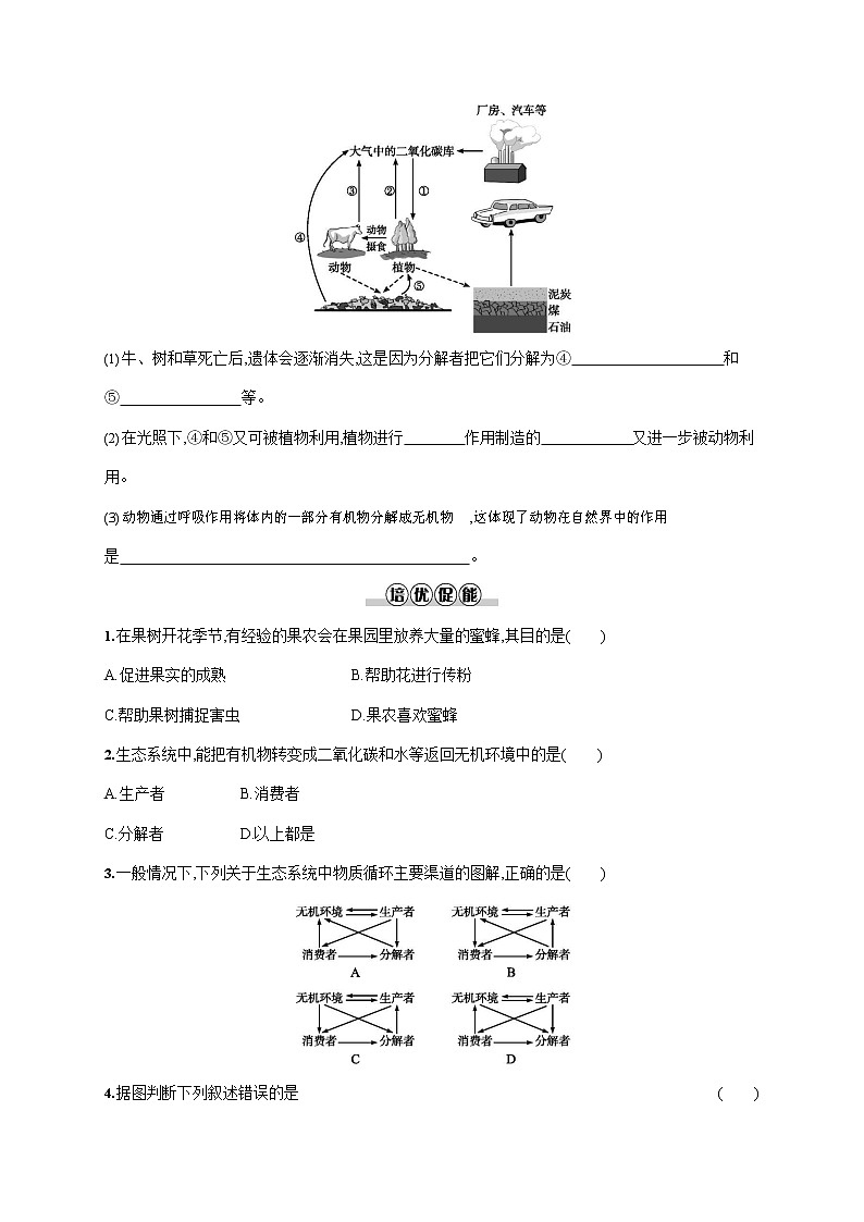 人教版八年级生物上册《5-3 动物在生物圈中的作用》作业同步练习题及参考答案03
