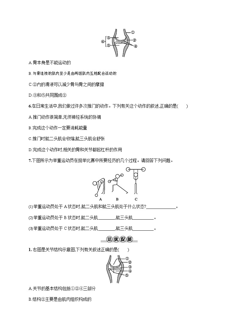 人教版八年级生物上册《5-2-1 动物的运动》作业同步练习题及参考答案第2页