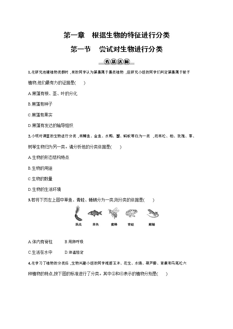 人教版八年级生物上册《6-1-1 尝试对生物进行分类》作业同步练习题及参考答案01