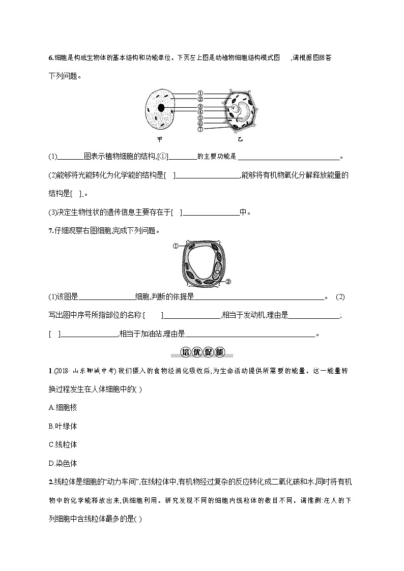 人教版七年级生物上册《2-1-4 细胞的生活》作业同步练习题及参考答案02