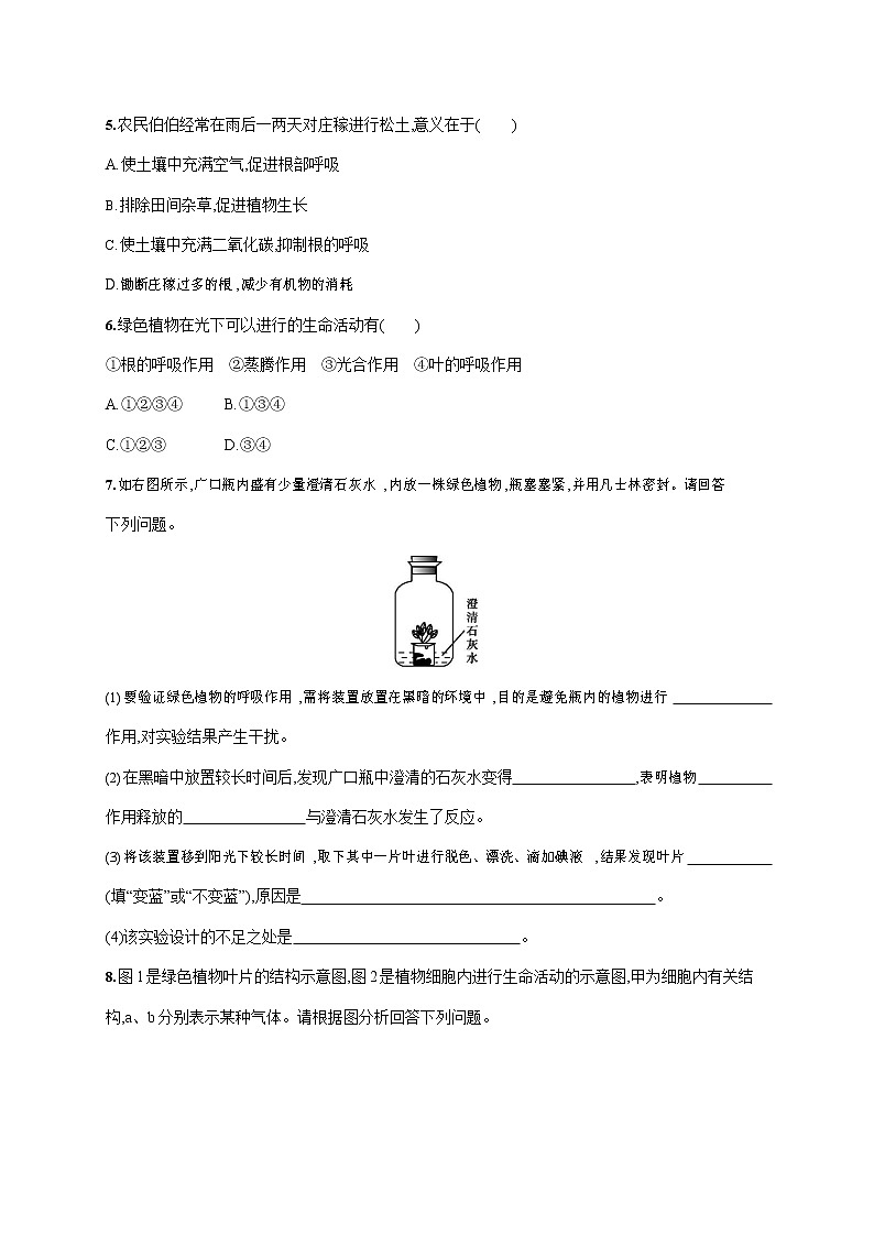 人教版七年级生物上册《3-5-2 绿色植物的呼吸作用》作业同步练习题及参考答案第2页