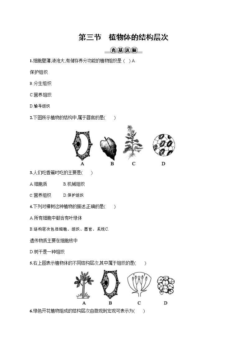 人教版七年级生物上册《2-2-3 植物体的结构层次》作业同步练习题及参考答案01