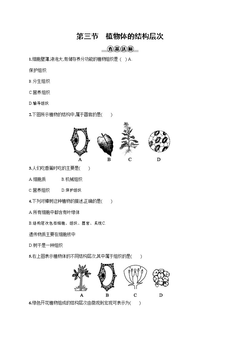 人教版七年级生物上册《2-2-3 植物体的结构层次》作业同步练习题及参考答案第1页