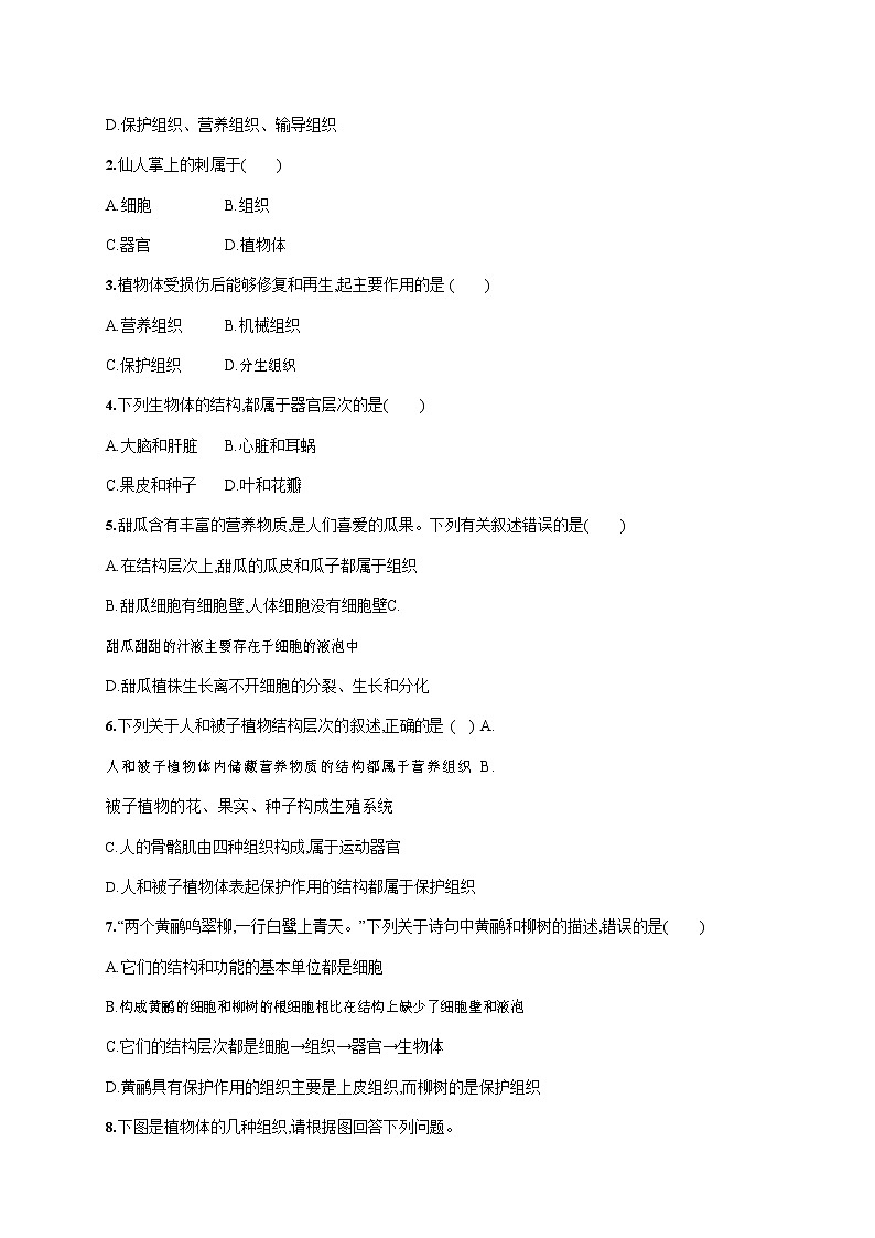 人教版七年级生物上册《2-2-3 植物体的结构层次》作业同步练习题及参考答案第3页