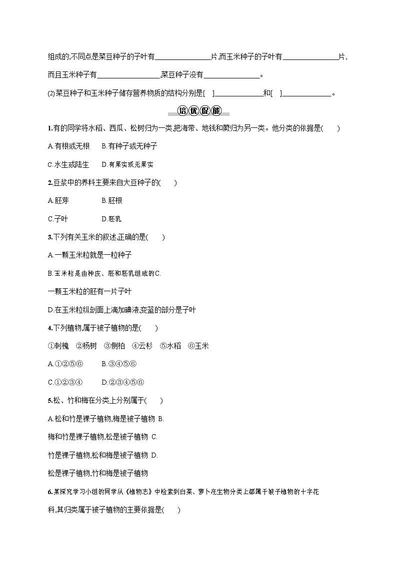 人教版七年级生物上册《3-1-2 种子植物》作业同步练习题及参考答案03