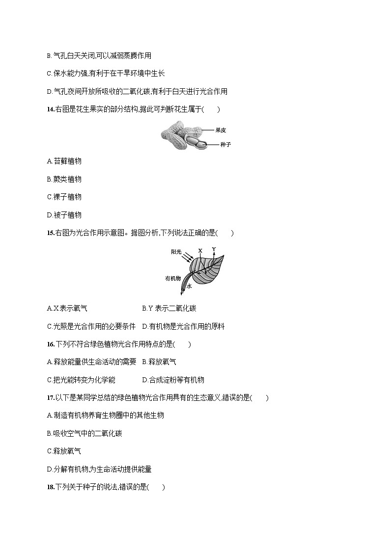 人教版七年级生物上册《期末考试模拟检测试卷》测试题及参考答案第3页